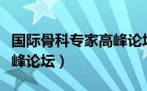 国际骨科专家高峰论坛（关于国际骨科专家高峰论坛）