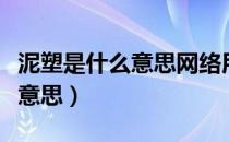 泥塑是什么意思网络用语二次元（泥塑是什么意思）