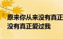 原来你从来没有真正爱过我 关于原来你从来没有真正爱过我