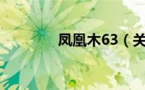 凤凰木63（关于凤凰木63）