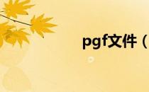 pgf文件（pgf文件）