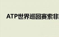 ATP世界巡回赛索非亚公开赛第二轮比赛