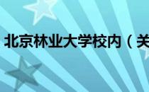 北京林业大学校内（关于北京林业大学校内）