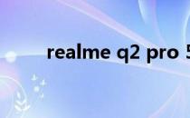 realme q2 pro 5g（realme q2）