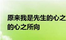 原来我是先生的心之所向 关于原来我是先生的心之所向