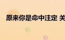 原来你是命中注定 关于原来你是命中注定