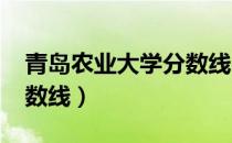 青岛农业大学分数线2020（青岛农业大学分数线）