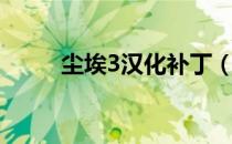 尘埃3汉化补丁（尘埃3汉化补丁）