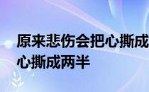 原来悲伤会把心撕成两半 关于原来悲伤会把心撕成两半