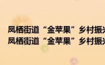 凤栖街道“金苹果”乡村振兴志愿者服务队罗村分队（关于凤栖街道“金苹果”乡村振兴志愿者服务队罗村分队）