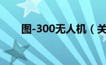 图-300无人机（关于图-300无人机）