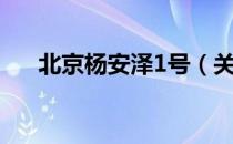 北京杨安泽1号（关于北京杨安泽1号）