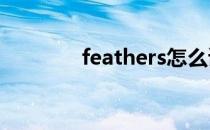 feathers怎么读（feather）