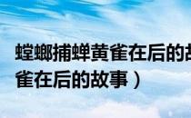 螳螂捕蝉黄雀在后的故事和寓意（螳螂捕蝉黄雀在后的故事）