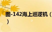 图-142海上巡逻机（关于图-142海上巡逻机）