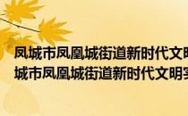 凤城市凤凰城街道新时代文明实践所志愿服务支队（关于凤城市凤凰城街道新时代文明实践所志愿服务支队）