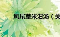 凤尾草米泔汤（关于凤尾草米泔汤）