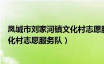 凤城市刘家河镇文化村志愿服务队（关于凤城市刘家河镇文化村志愿服务队）