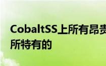 CobaltSS上所有昂贵的东西都是SS修整级别所特有的