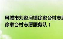 凤城市刘家河镇徐家台村志愿服务队（关于凤城市刘家河镇徐家台村志愿服务队）