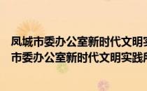 凤城市委办公室新时代文明实践所志愿服务支队（关于凤城市委办公室新时代文明实践所志愿服务支队）