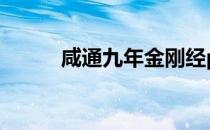 咸通九年金刚经pdf（咸通九年）