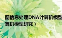 图信息处理DNA计算机模型研究（关于图信息处理DNA计算机模型研究）