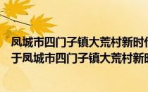 凤城市四门子镇大荒村新时代文明实践站志愿服务分队（关于凤城市四门子镇大荒村新时代文明实践站志愿服务分队）