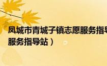 凤城市青城子镇志愿服务指导站（关于凤城市青城子镇志愿服务指导站）