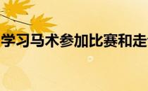 学习马术参加比赛和走专业路线并无必然关系