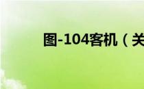 图-104客机（关于图-104客机）