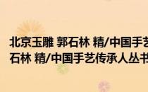 北京玉雕 郭石林 精/中国手艺传承人丛书（关于北京玉雕 郭石林 精/中国手艺传承人丛书）