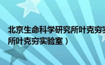 北京生命科学研究所叶克穷实验室（关于北京生命科学研究所叶克穷实验室）