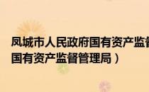 凤城市人民政府国有资产监督管理局（关于凤城市人民政府国有资产监督管理局）