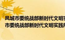 凤城市委统战部新时代文明实践所志愿服务支队（关于凤城市委统战部新时代文明实践所志愿服务支队）