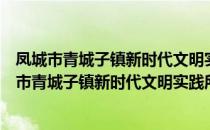 凤城市青城子镇新时代文明实践所志愿服务支队（关于凤城市青城子镇新时代文明实践所志愿服务支队）