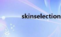 skinselection（skinselect）