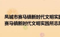 凤城市赛马镇新时代文明实践所志愿服务支队（关于凤城市赛马镇新时代文明实践所志愿服务支队）