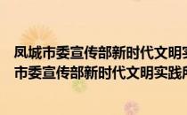 凤城市委宣传部新时代文明实践所志愿服务支队（关于凤城市委宣传部新时代文明实践所志愿服务支队）