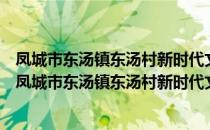 凤城市东汤镇东汤村新时代文明实践站志愿服务分队（关于凤城市东汤镇东汤村新时代文明实践站志愿服务分队）