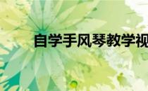 自学手风琴教学视频（自学手风琴）