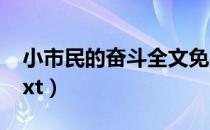 小市民的奋斗全文免费阅读（小市民的奋斗txt）