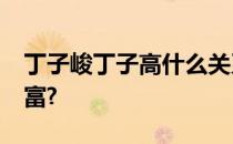 丁子峻丁子高什么关系?原来两人竟是百亿隐富?