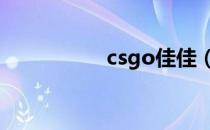 csgo佳佳（csol佳佳）