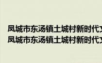 凤城市东汤镇土城村新时代文明实践站志愿服务分队（关于凤城市东汤镇土城村新时代文明实践站志愿服务分队）