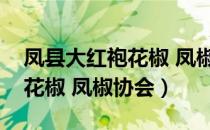 凤县大红袍花椒 凤椒协会（关于凤县大红袍花椒 凤椒协会）