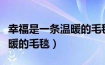 幸福是一条温暖的毛毯观后感（幸福是一条温暖的毛毯）