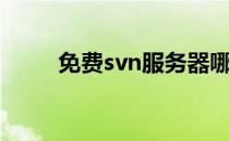 免费svn服务器哪个好（免费svn）