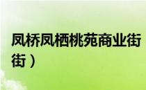 凤桥凤栖桃苑商业街（关于凤桥凤栖桃苑商业街）