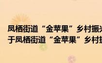 凤栖街道“金苹果”乡村振兴志愿者服务队凤园村分队（关于凤栖街道“金苹果”乡村振兴志愿者服务队凤园村分队）